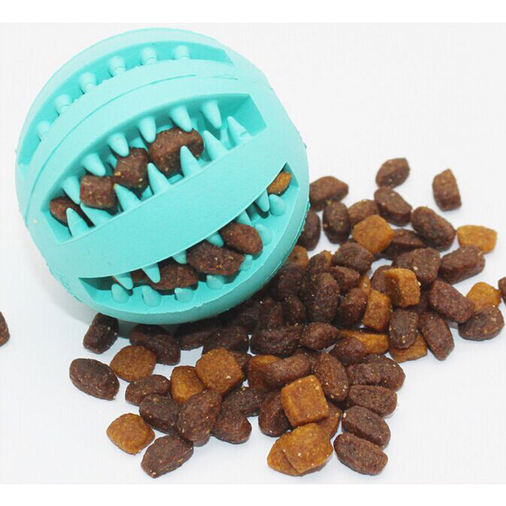 Rubber Mint Feeding Ball for Cats & Dogs