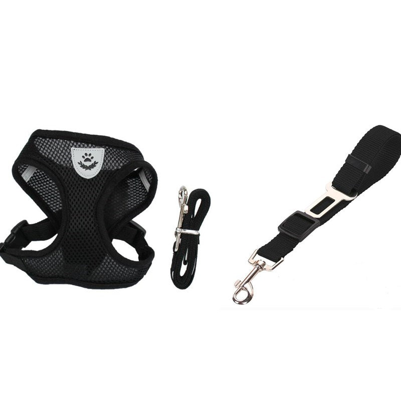 Pet Car Seat Belt & Walking Leash