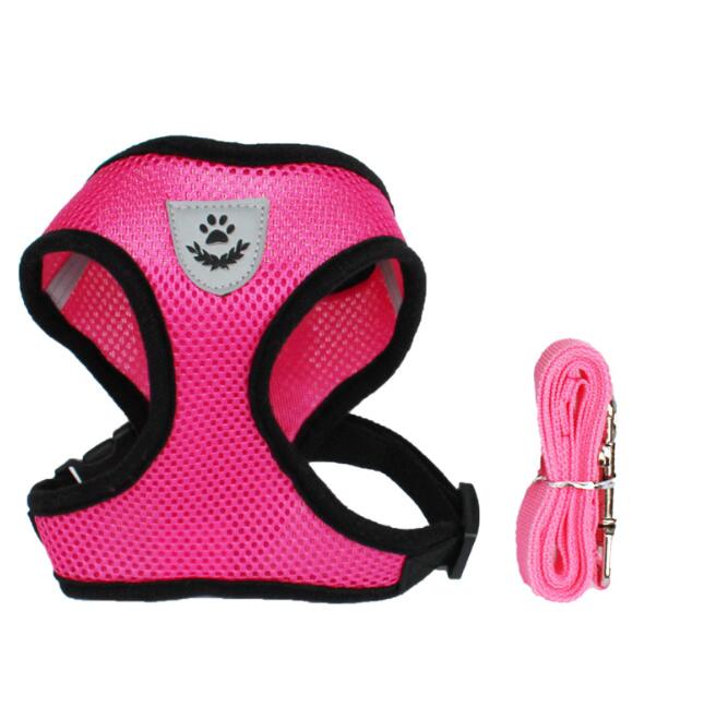 Pet Car Seat Belt & Walking Leash
