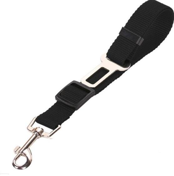 Pet Car Seat Belt & Walking Leash