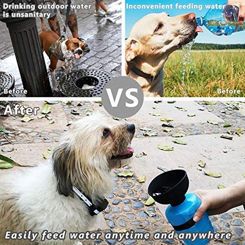 Foldable Outdoor Pet Water Bottle & Dispenser