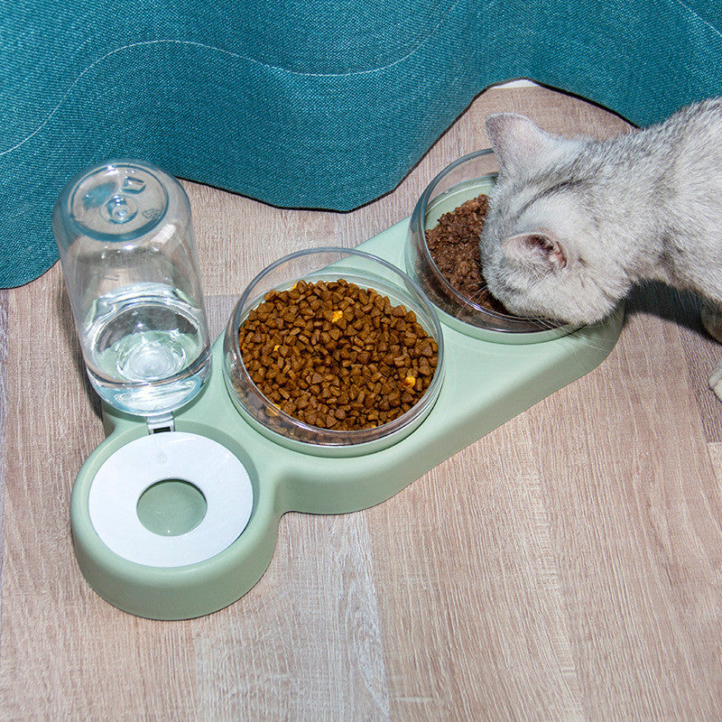 Automatic Pet Feeder Bowl with Water Fountain & Raised Stand