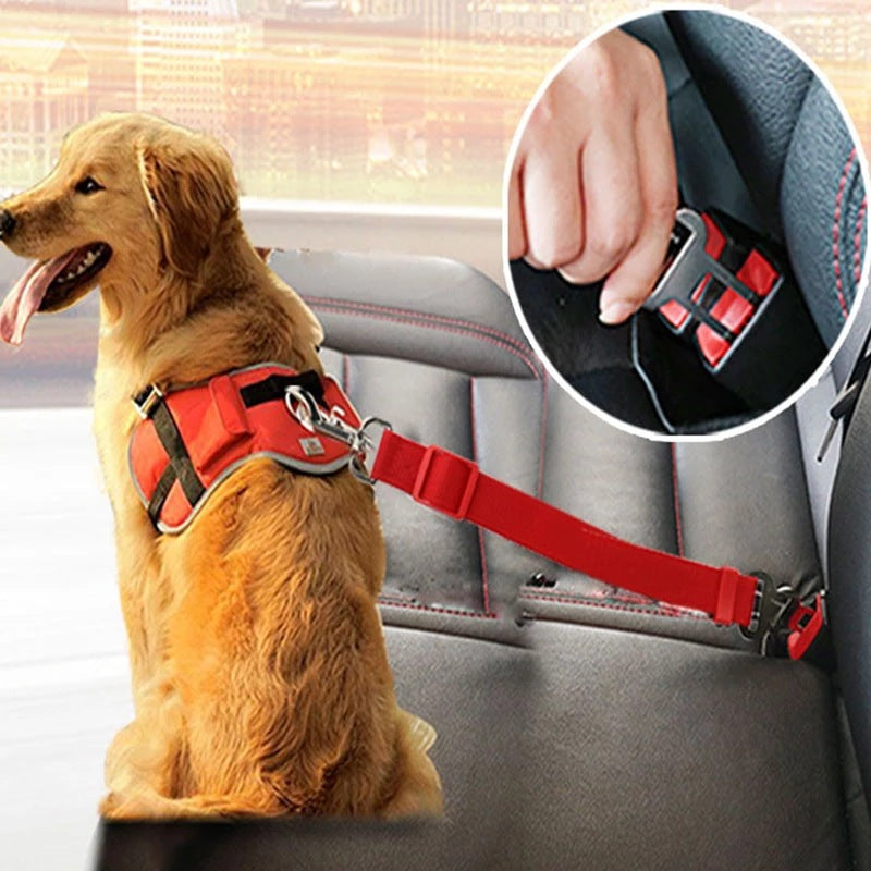 Adjustable Pet Car Seat Belt & Safety Leash