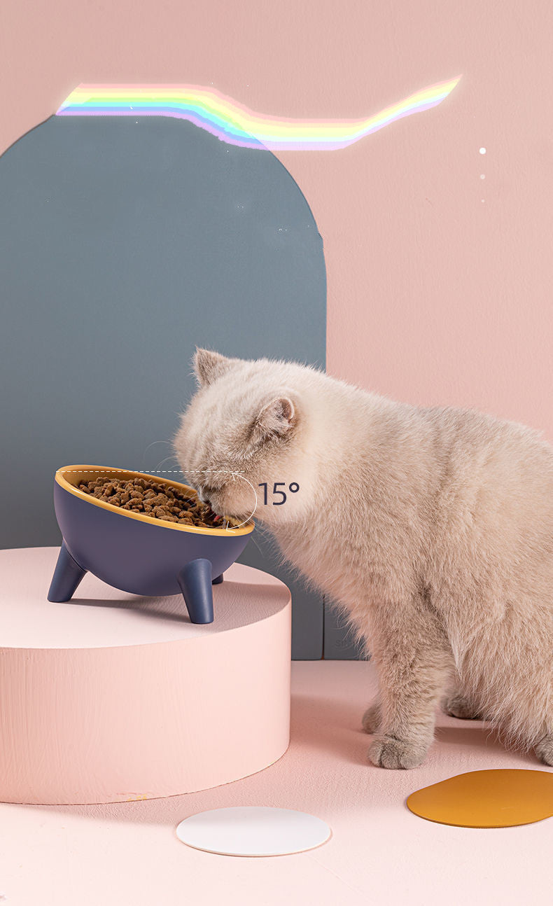 Nordic-Style Pet Feeding Bowl with Stand