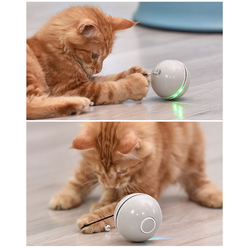 Colorful LED Laser Cat Ball Toy