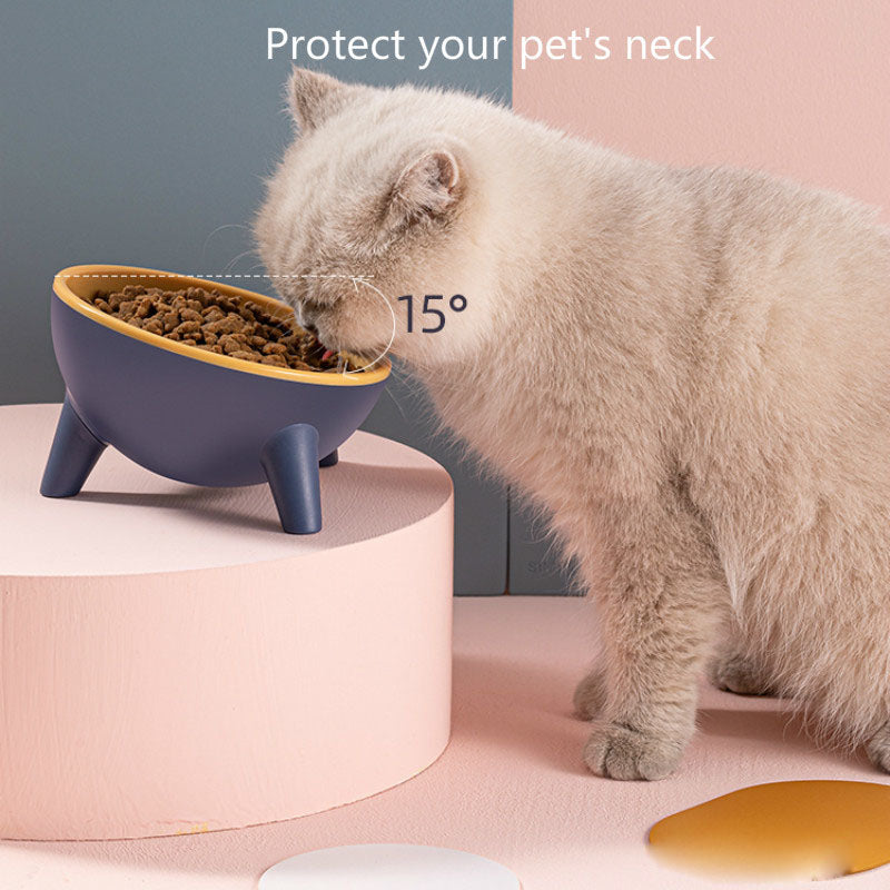Nordic-Style Pet Feeding Bowl with Stand