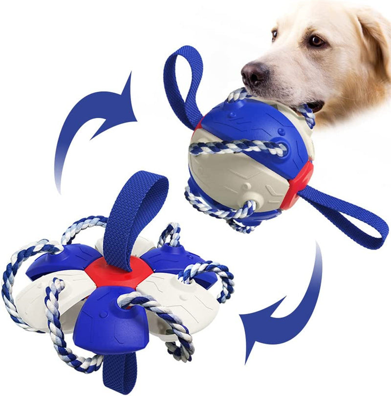 Interactive Dog Football & Frisbee Training Ball