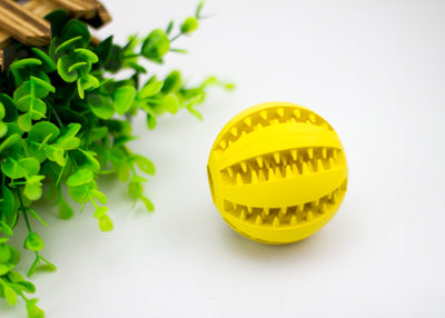 Rubber Mint Feeding Ball for Cats & Dogs