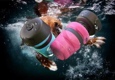 Foldable Outdoor Pet Water Bottle & Dispenser
