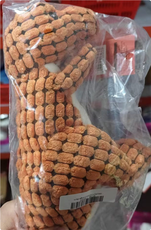 Dinosaur Plush Squeaky Dog Toy