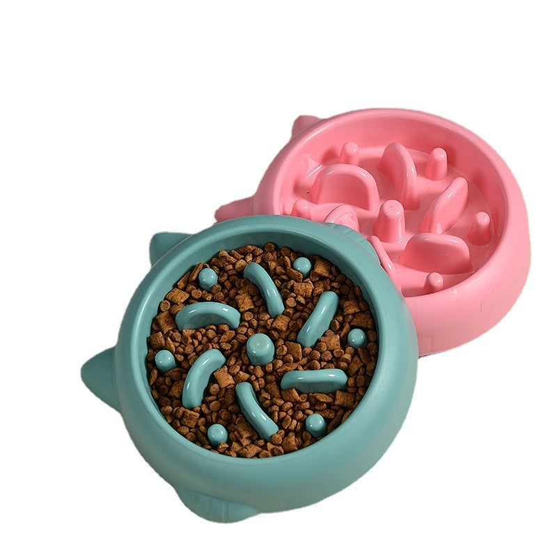 Anti-Choking Slow Feeder Bowl for Dogs & Cats