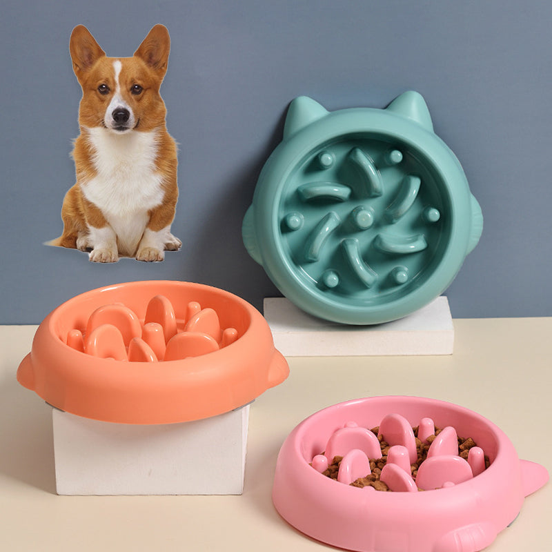 Anti-Choking Slow Feeder Bowl for Dogs & Cats