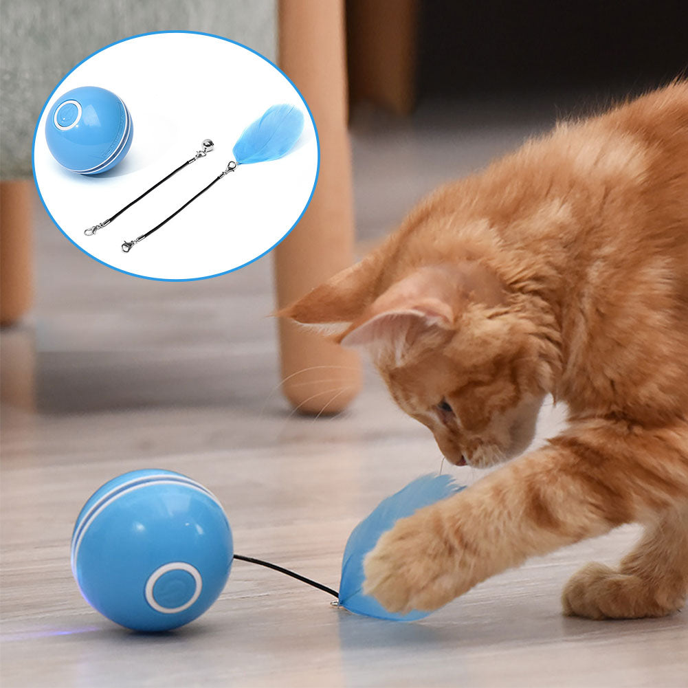 Colorful LED Laser Cat Ball Toy