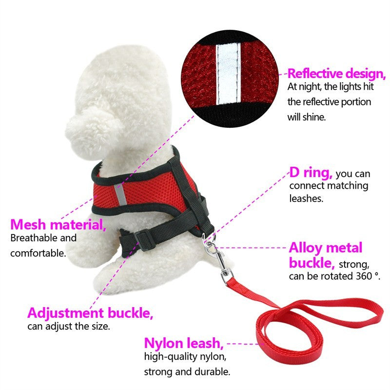 Pet Car Seat Belt & Walking Leash