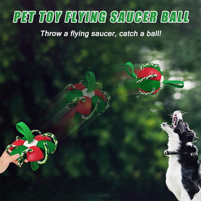 Interactive Dog Football & Frisbee Training Ball