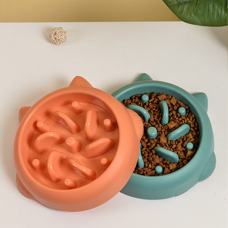 Anti-Choking Slow Feeder Bowl for Dogs & Cats