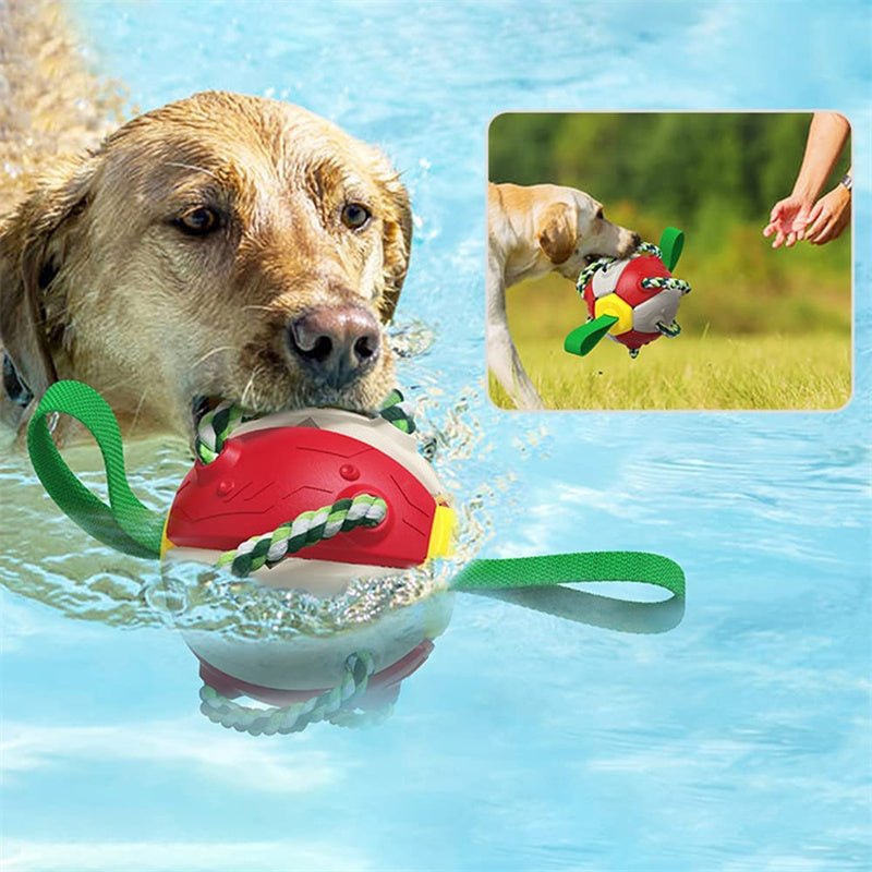 Interactive Dog Football & Frisbee Training Ball