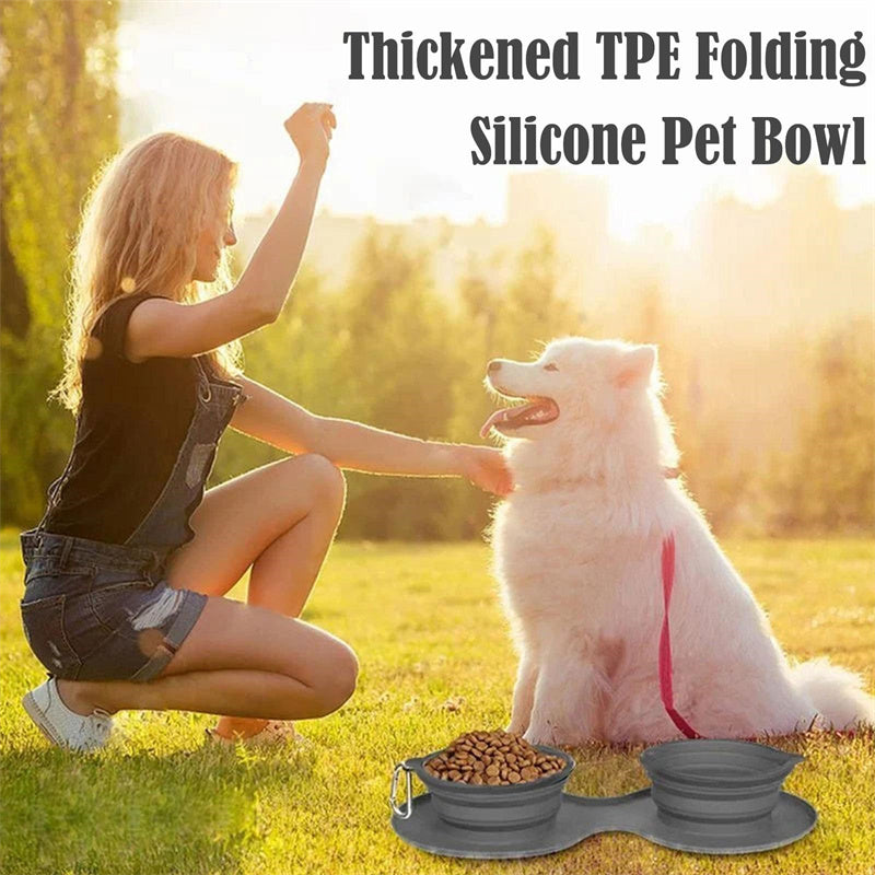 Foldable Double Silicone Pet Feeding Bowl