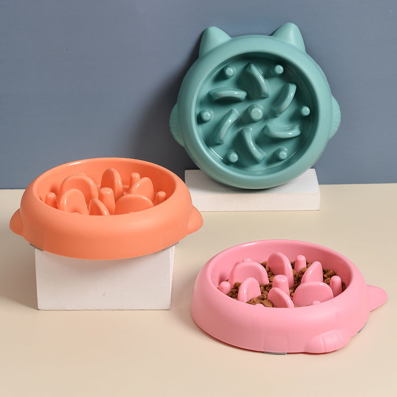 Anti-Choking Slow Feeder Bowl for Dogs & Cats